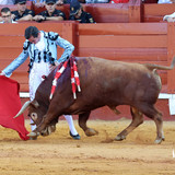 n24eppt.th.jpg