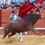 n24k9TX.th.jpg