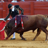 n24kY8B.th.jpg