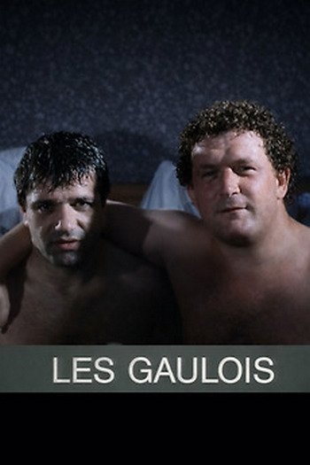 15 les francais vus par les gaulois.jpg