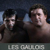 15 les francais vus par les gaulois