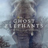95 ghost elephants