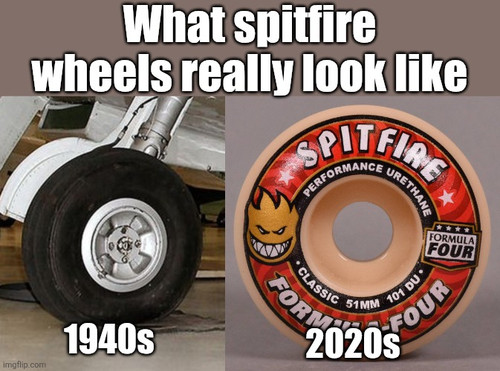 1000257498.jpg