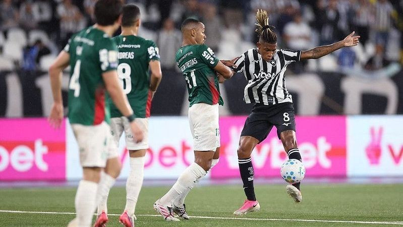 Botafogo x Palmeiras: melhores momentos