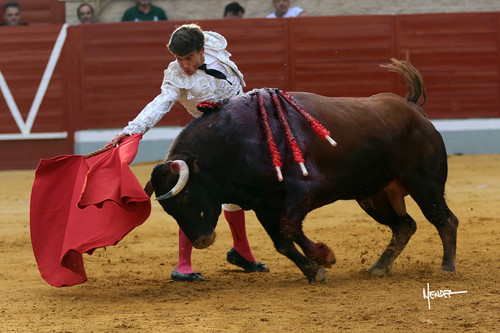 215A1554.jpg