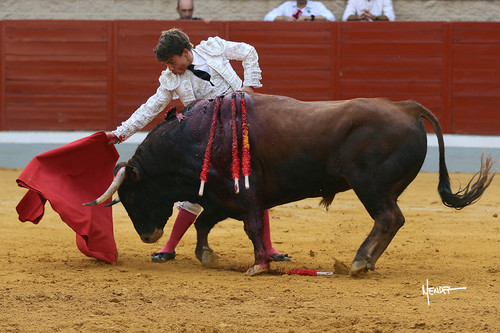 215A1600.jpg