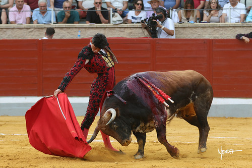 215A2015.jpg