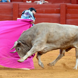 n2IofRV.th.jpg