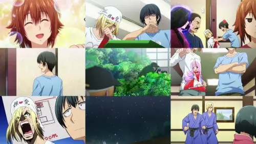 Grand Blue Dreaming S03 grid.webp