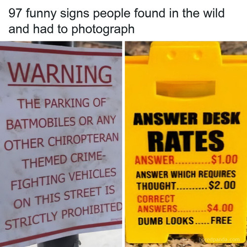 silly funny signs.jpg
