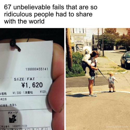 funny fails youhadonejob.jpg