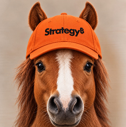 Mustang Strategy Banner