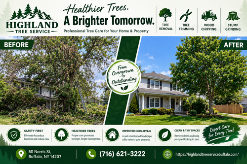 healthier trees, a brighter tomorrow.png
