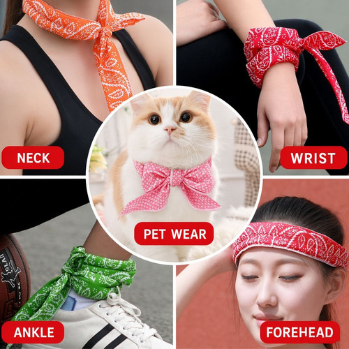 product image 08.jpg