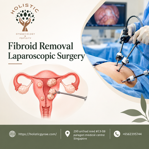 Fibroid Removal Laparoscopic Surgery).png