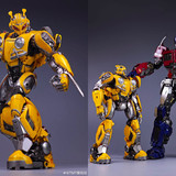 y16 (3)