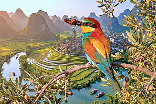 IMG AI 00037.jpg