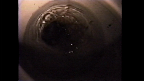 vlcsnap 2026 09 06 14h02m38s083.png
