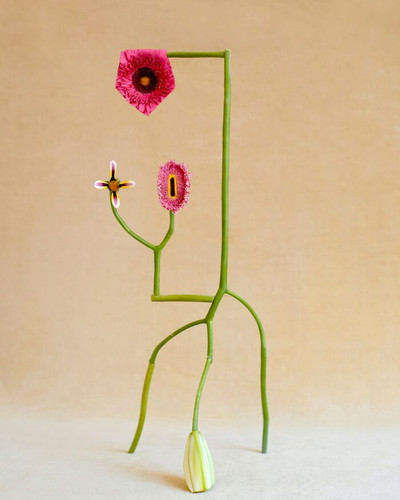 6a9a95986f5ae 26 nature flower compositions by artist and photographer jennifer latour 700.jpg