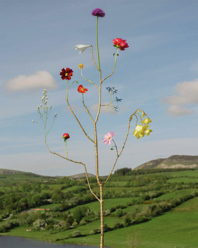 Lough Gill Ireland 2023 Jennifer Latour 6a9a8911ec055 700.jpg