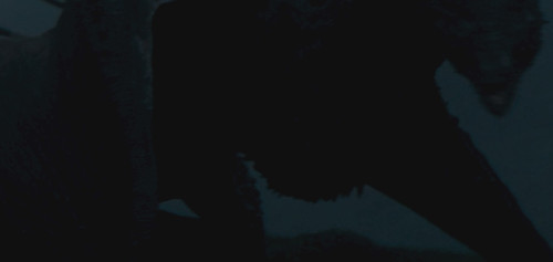 VideoCapture 20260906 153458.jpg