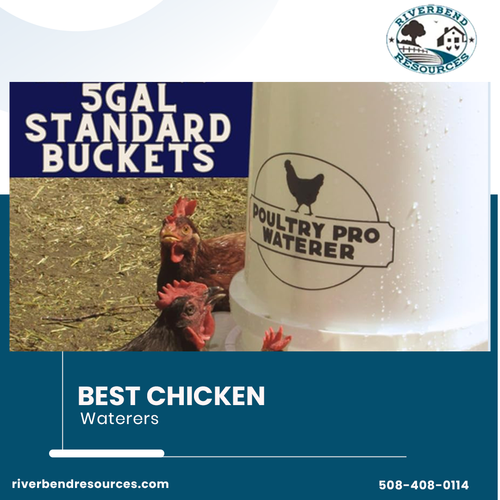 Best Chicken waterers.png