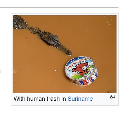 MiscaptionedWikipediaPhoto