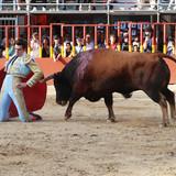 n3BJf6l.th.jpg