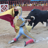 n3BJjFp.th.jpg