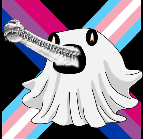 Mr Ghostrial.jpg