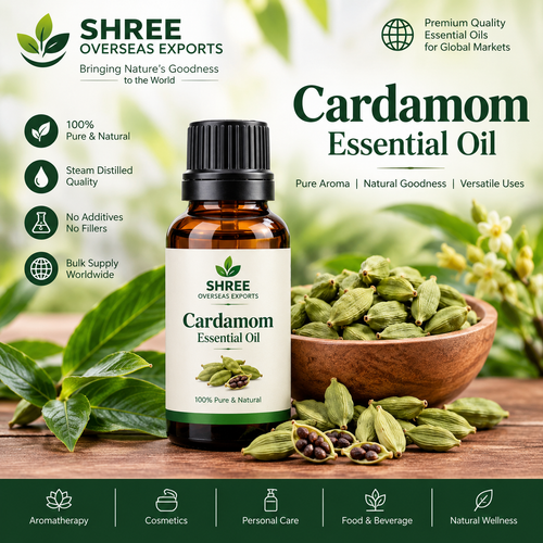 Cardamom Essential Oil Manufacturer Quality, Bulk Supply and Export Guide.png