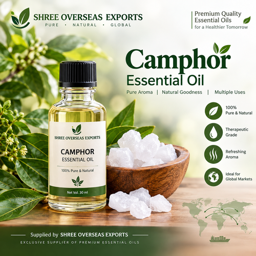 Camphor Essential Oil Private Label Supplier A Complete Guide to Quality, Bulk Supply and Export.png