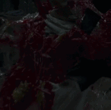 546.gif