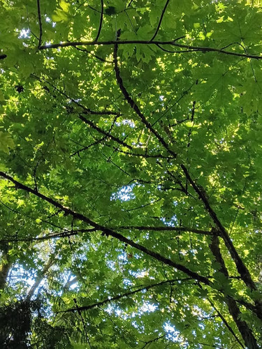 1000058500.jpg