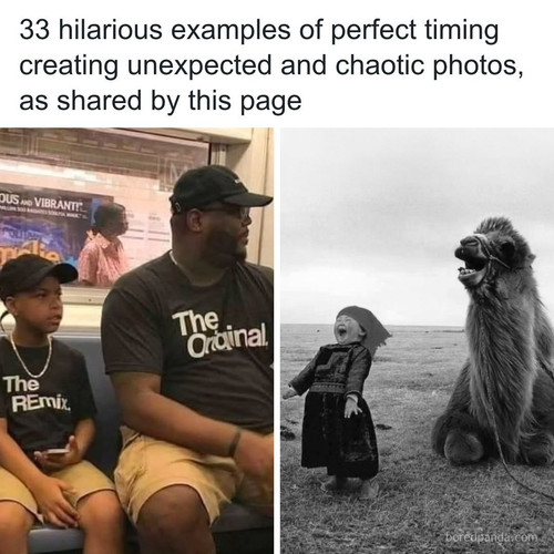 funniest possible moment pure comedy photography.jpg