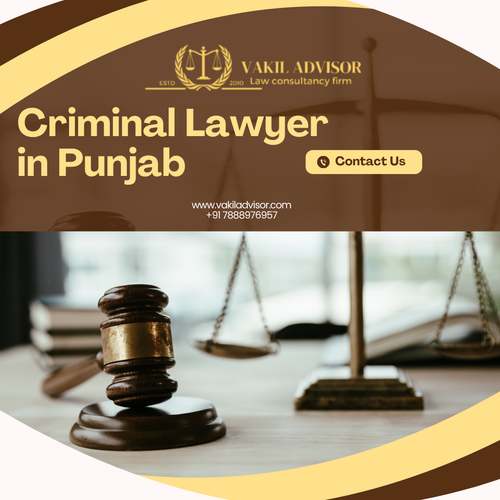 Criminal Lawyer in Punjab 1.png