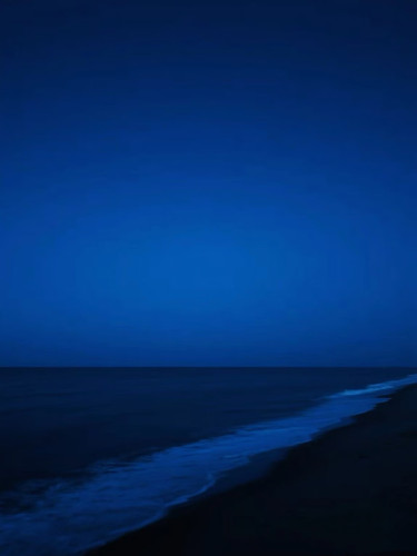IMG 0373.jpg