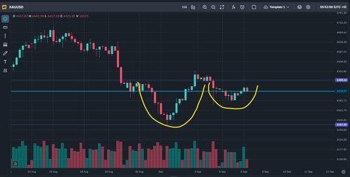 cup and handle.png
