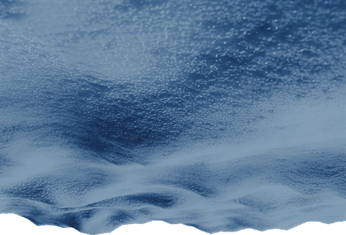IMG 0440.png