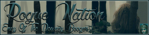 DowneyB Banner.jpg