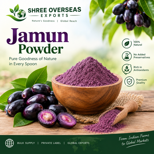Private Label Jamun Powder Manufacturer for Bulk and Export Supply.png