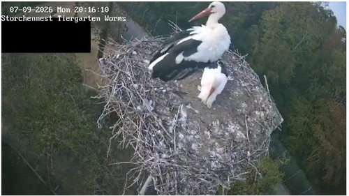 MWSnap358.jpg