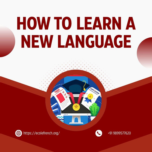 How to Learn a New Language as a Beginner.jpg