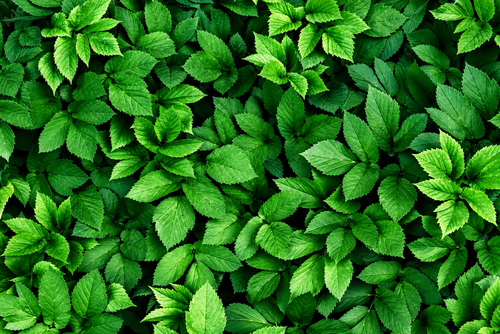 ChatGPT Image 13 36 18 8 thg 9, 2026.png