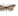 IMG 3391.gif