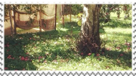 IMG 3173.png