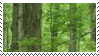 IMG 3298.png