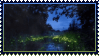 IMG 3156.gif