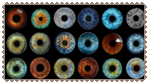 IMG 3153.png