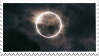 IMG 3036.png